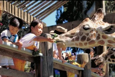 Hacienda VIP Days Coming at Six Flags Marine World