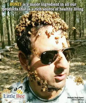 Little Bee Brings Honey from Kashmir to an International Audience