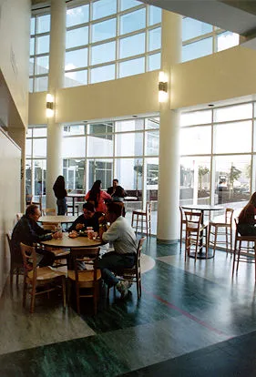 Office Furniture Ergonomics a Key Component, Says Space Designs
