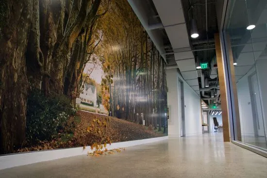 New Cisco Sales Office Showcases Company's Workplace Technology
