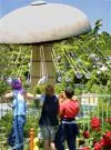 From Disneyland to Universal Studios, Summer Fun Comes with a Discount from Hacienda