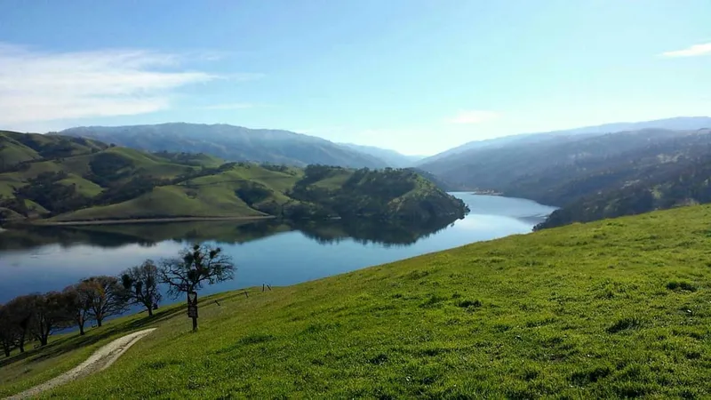 Hacienda and Pleasanton Offer Plenty of Parks for Outdoor Relaxation and Enjoyment