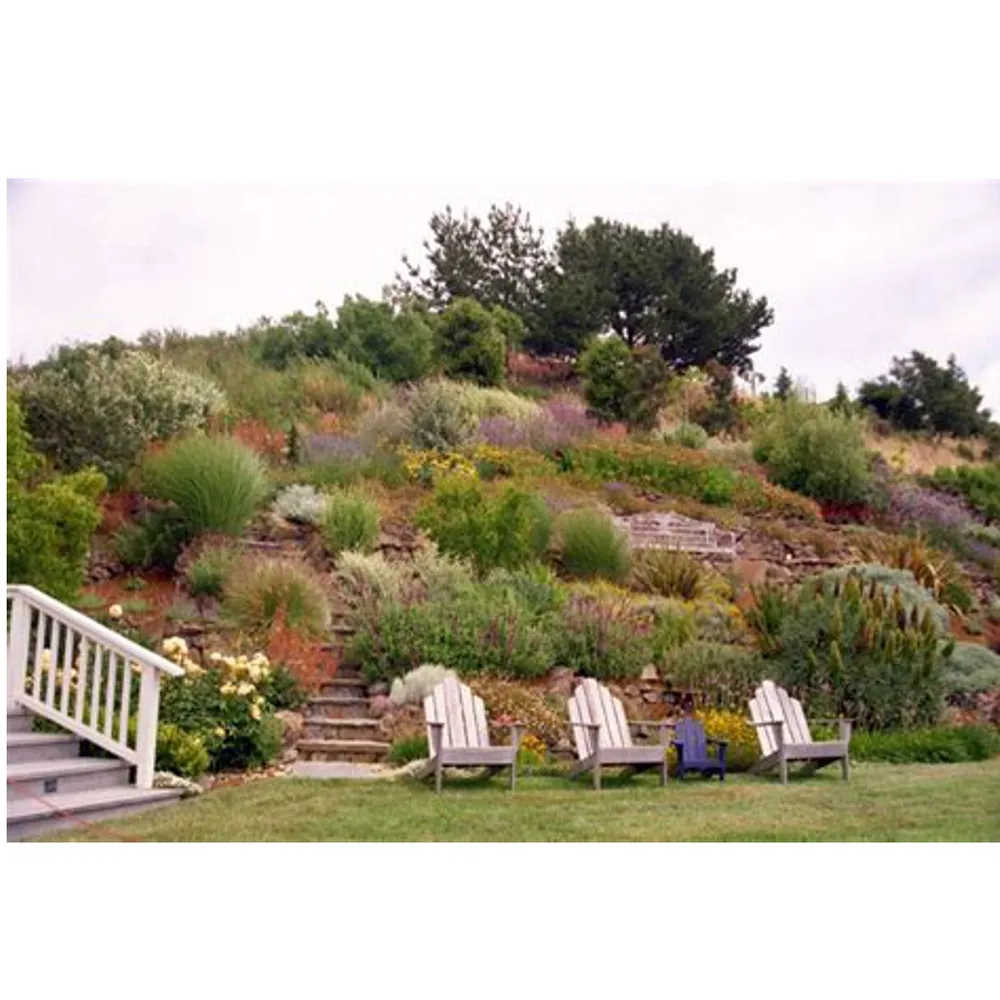 Tri-Valley Gardening Creates Abundant Opportunities for Growth