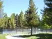 Pleasanton Offers Sporting Facilities and Leagues For All Sports and Expertise