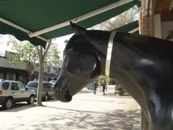 Downtown Pleasanton: An Attractive Destination for Residents and Visitors Alike