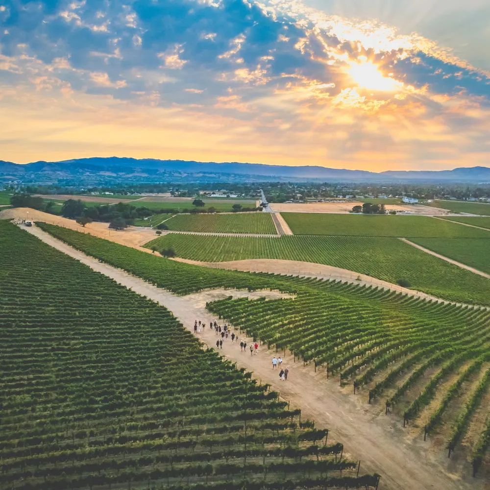 Livermore Valley Wine Community Launches Global Alliance