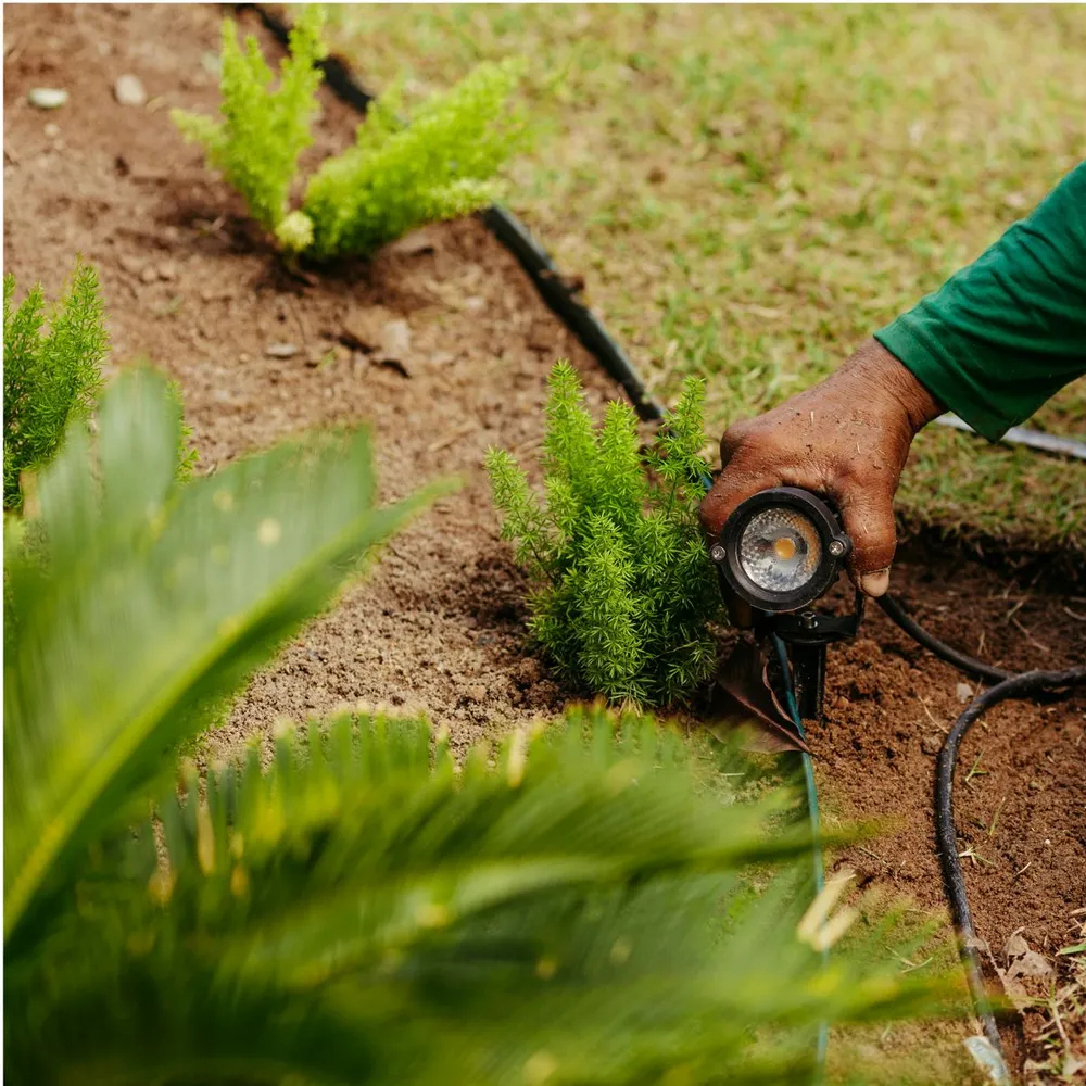 Zone 7 Lawn Conversion Rebate Doubled