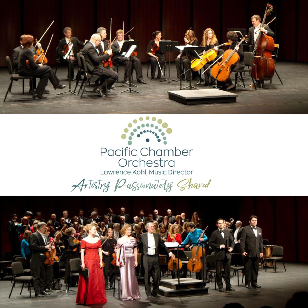 pco-special-offer-175.jpg
