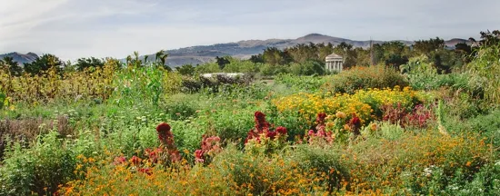 Sustainable Agriculture Makes its Mark on Tri-Valley