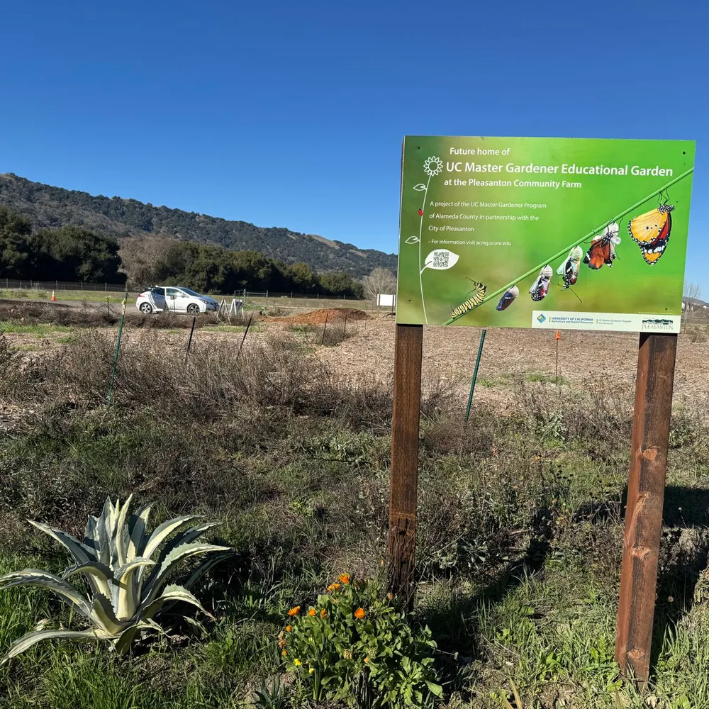 Tri-Valley Is a Gardener’s Paradise