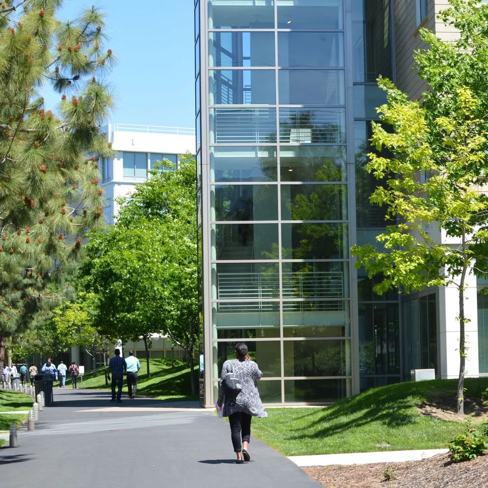 Pleasanton Boosts Business With New Economic Initiatives