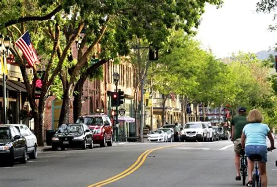 Pleasanton Downtown Association Means Business