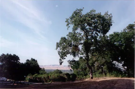 Pleasanton's Parks Offer a Host of Outdoor Hiking and Recreation Opportunities