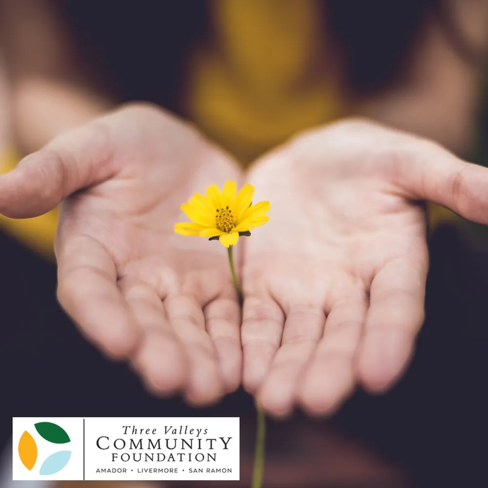 THREE VALLEYS COMMUNITY FOUNDATION ANNUAL STATE OF GIVING GATHERING