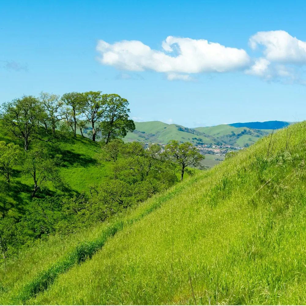 East Bay Regional Park District Opens New Trails