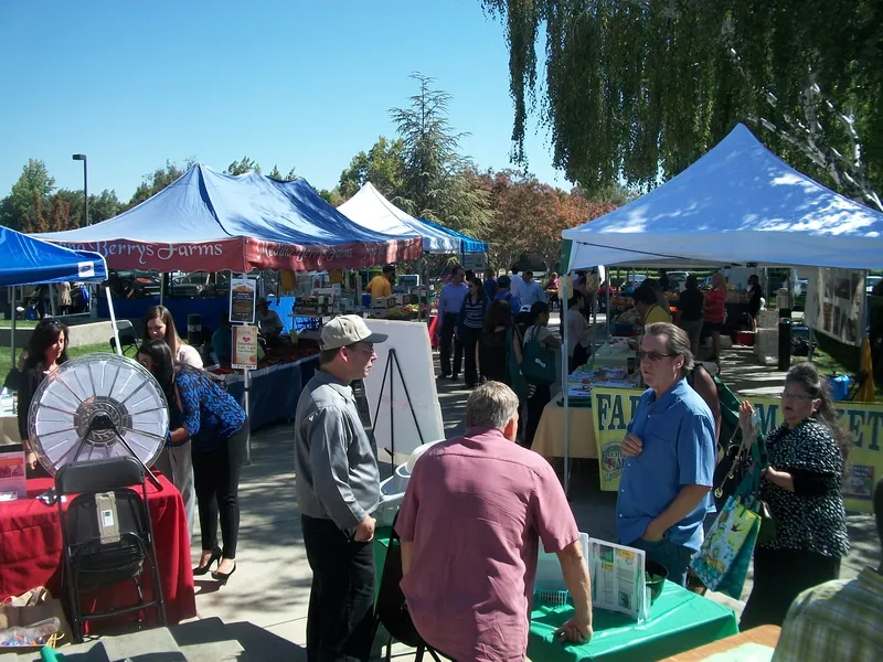 Go Green with Great Ideas from Green Scene