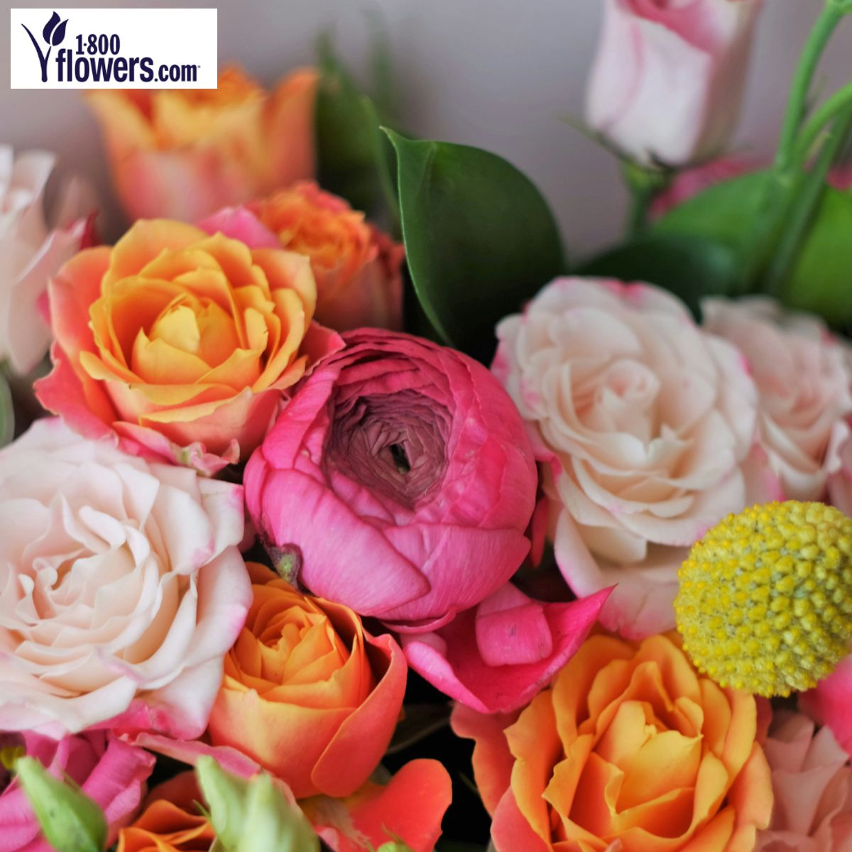 flowers-175.jpg