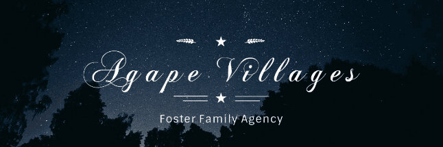 6th ANNUAL AGAPE VILLAGES DINNER AND AUCTION