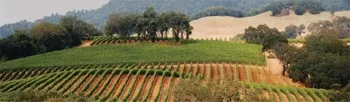 Livermore's Wine Country Beckons