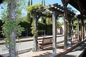 Pleasanton and the Tri-Valley Provide Great Options for Entertainment