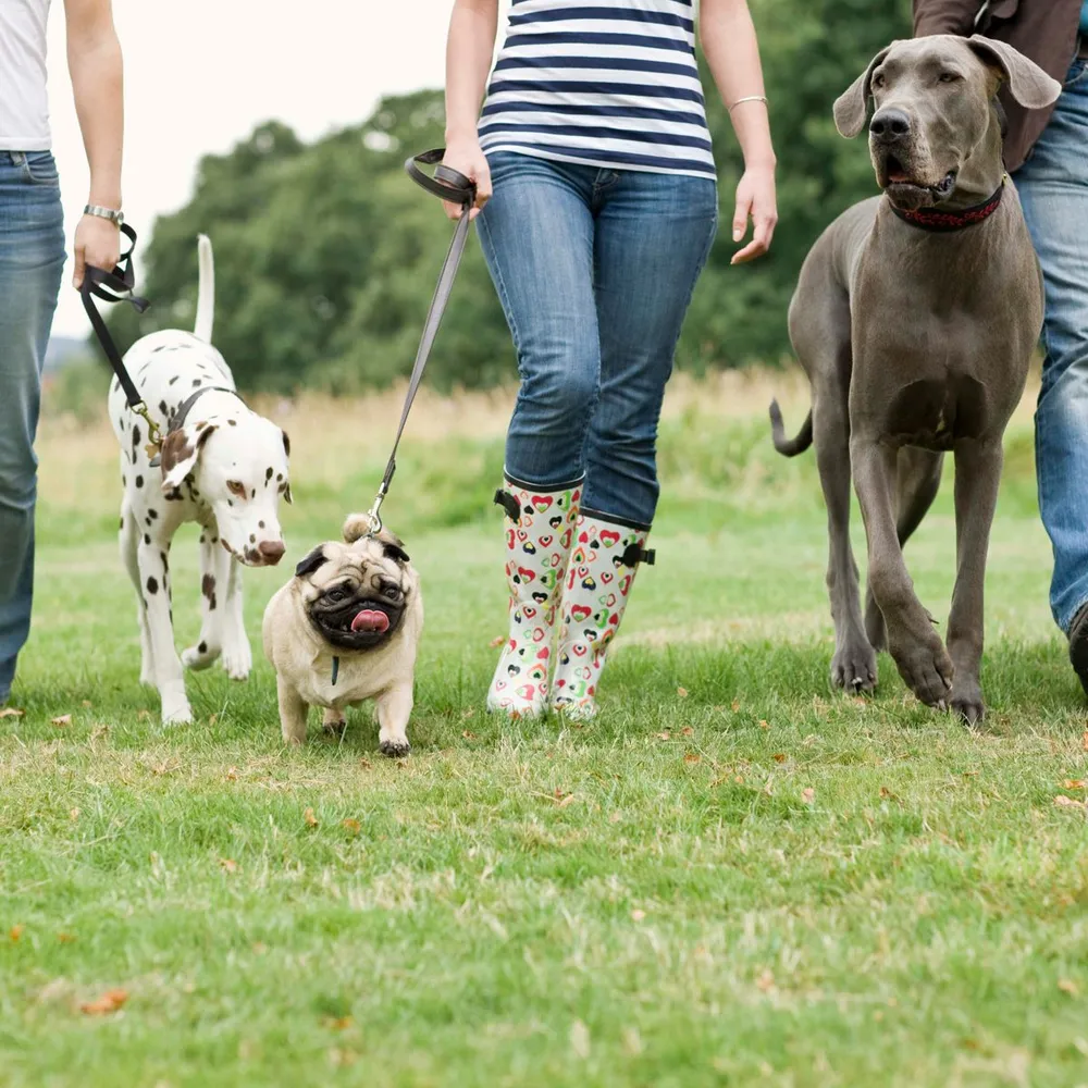 Tri-Valley Welcomes Dog Lovers