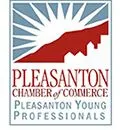 Pleasanton Young Professionals Offer Career Development, Fun for the Under 40 Set
