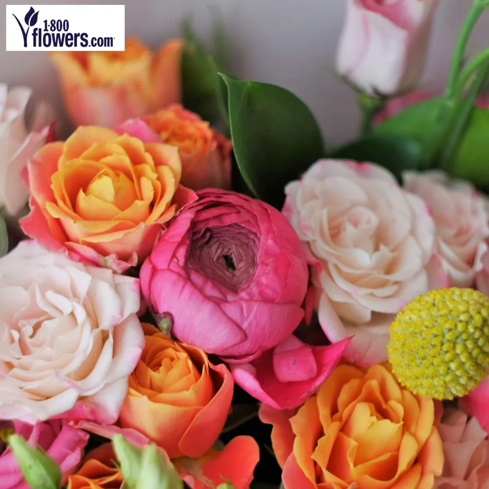 1-800-FLOWERS.COM SPECIAL OFFER
