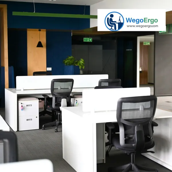 WEGOERGO SPECIAL OFFER