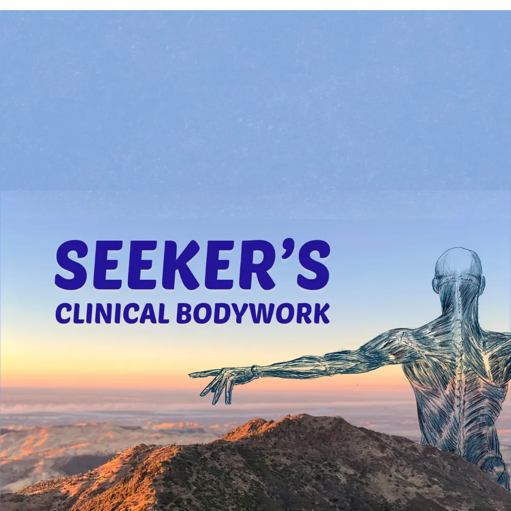 Seeker’s Clinical Bodywork Aims to Empower Your Wellness Journey