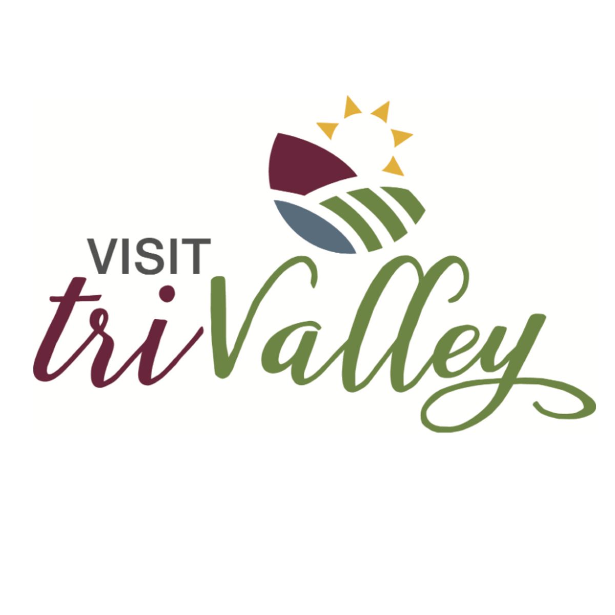 Input Sought on Visit TriValley’s Five Year Destination Strategic Plan