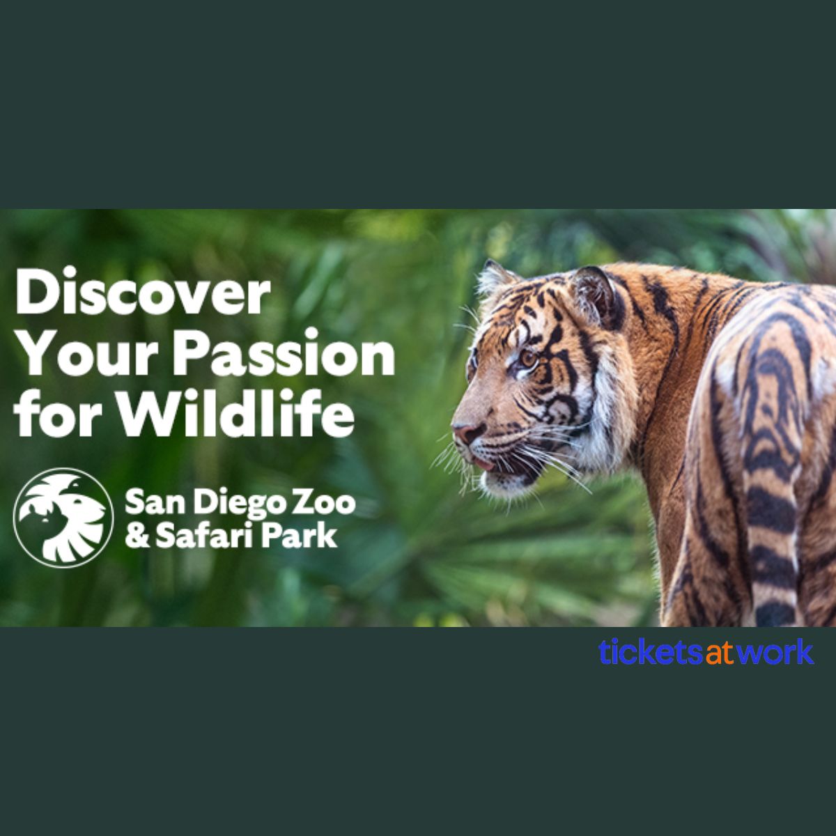 san-diego-zoo-175.jpg