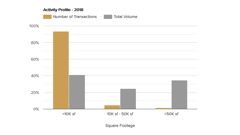 activity-profile-january-2019.png