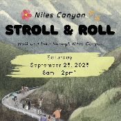 stroll-roll-175.jpg