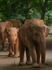 The Great Elephant Migration